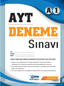 AYT 4lü Simülatör Denemeleri