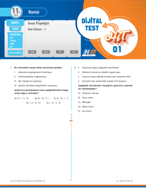 11. Sınıf Biyoloji DİJİTAL TEST - HIZ VE RENK - 2024