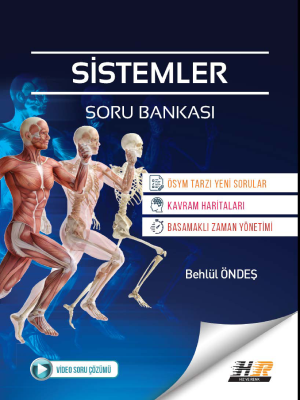 AYT SİSTEMLER SORU BANKASI - 2024-25 - HIZ VE RENK